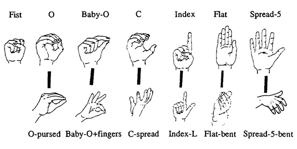 Handshapes used by conductors in non-dominant hand gestures, from Boyes Braem and Bräm