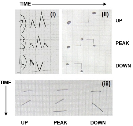 Examples of three different Symbolic Cartesian (SC) systems: i. Drawn by a participant from Group A (British); ii, iii. Drawn by participants from Group B (Japanese). For i and ii, time is represented horizontally L-R, and pitch variation is shown through vertical variation. No elements of WSN have been used. Example iii represents the passing of time using a vertical axis, T-B. Pitch variations are represented by the inclinations of the strokes.