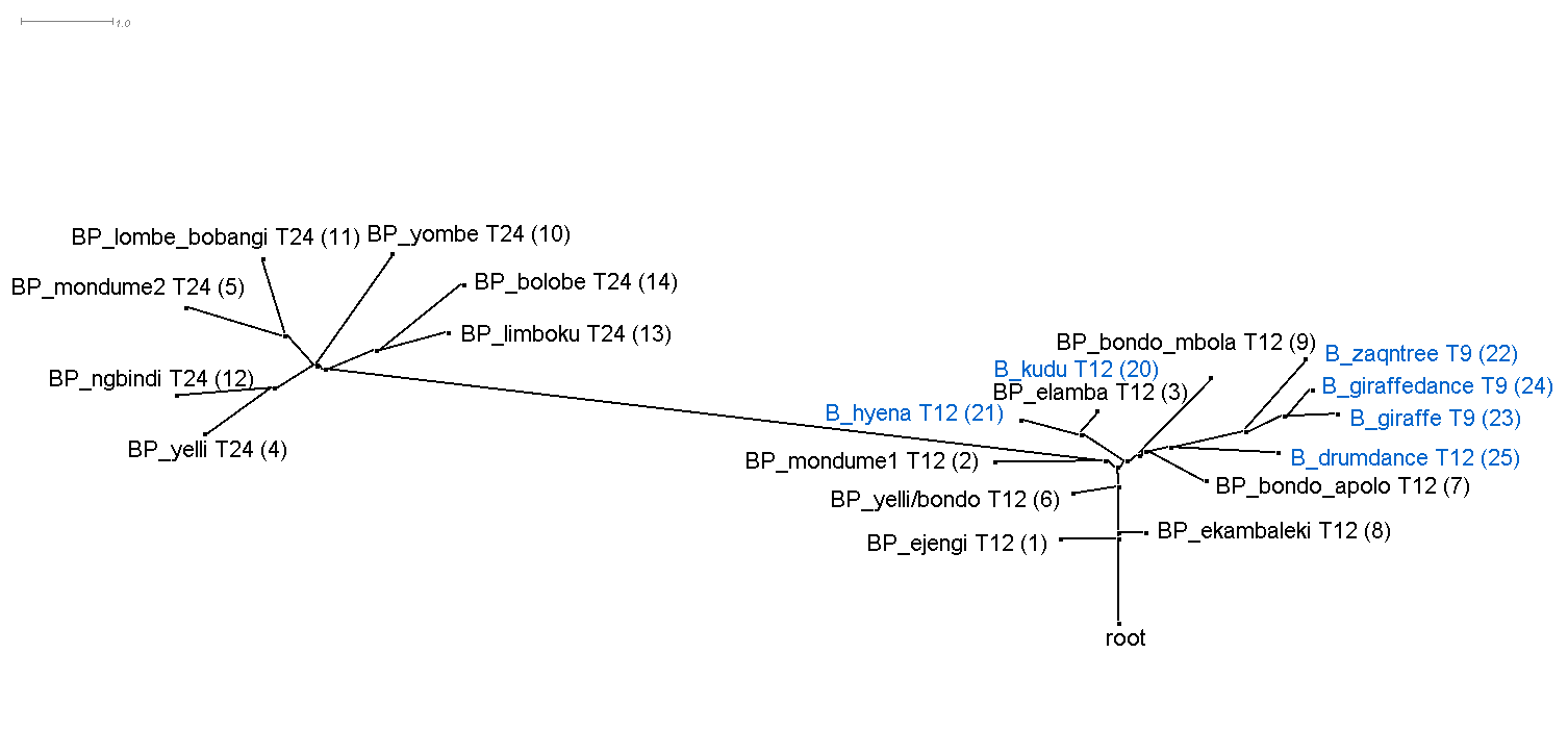 Figure 4b is a rooted phylogenetic tree of the triple-pulse timelines from Table 1